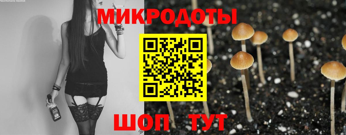 Галлюциногенные грибы Psilocybine cubensis  Вход с VPN  Мирный 